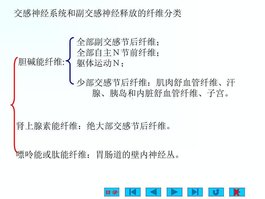 《神经系统对内脏》课件.ppt_第3页