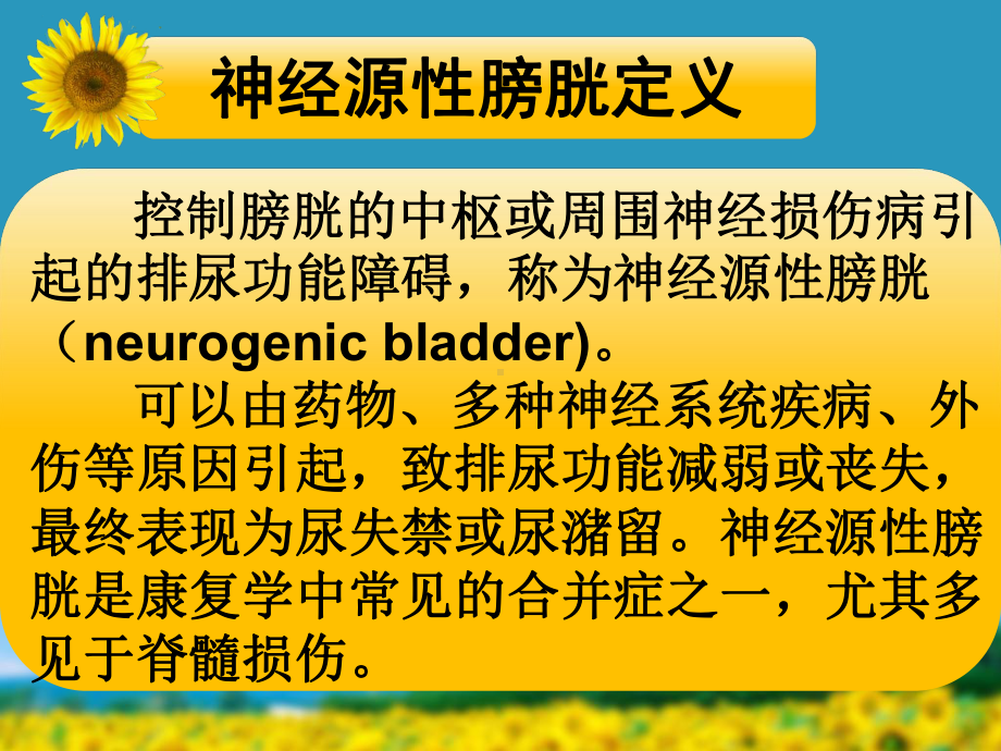 《神经源性膀胱护理》课件.ppt_第2页