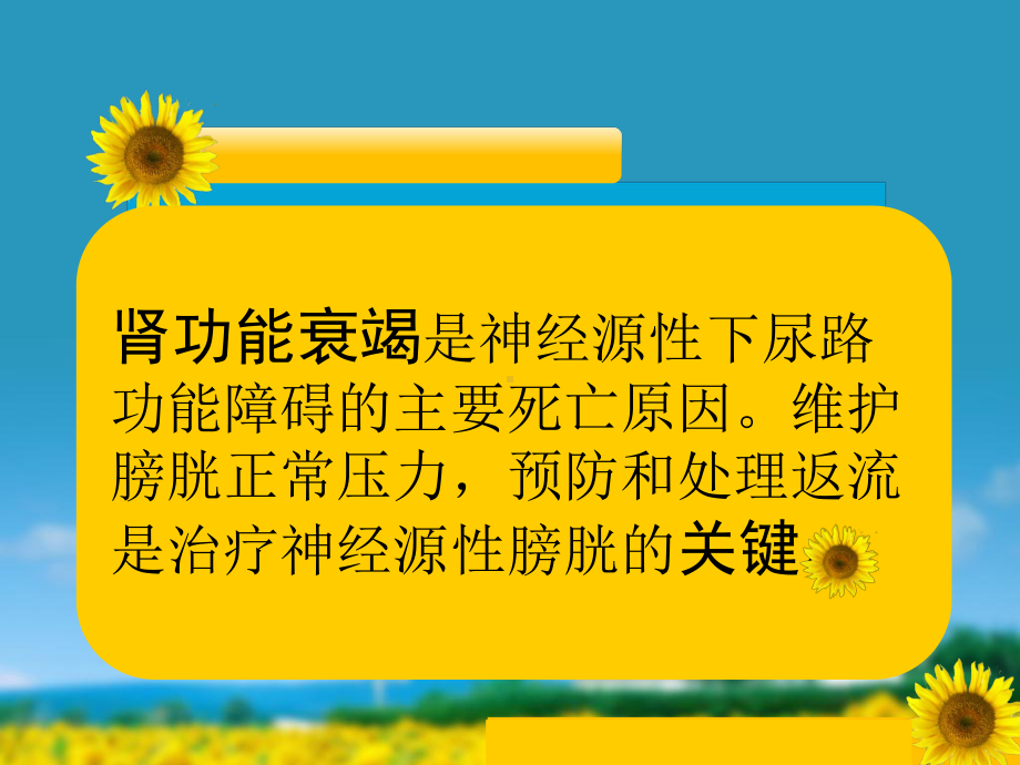 《神经源性膀胱护理》课件.ppt_第3页