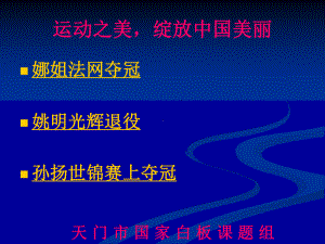 初中作文指导：优化作文素材的语言表现力课件.ppt