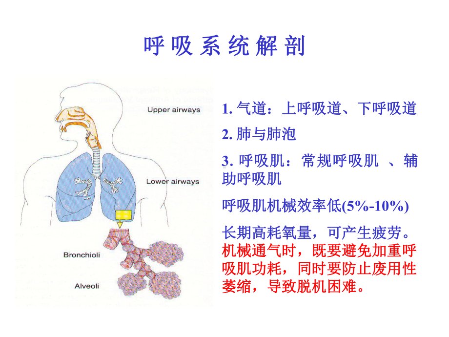 机械通气及临床应用课件.ppt_第2页