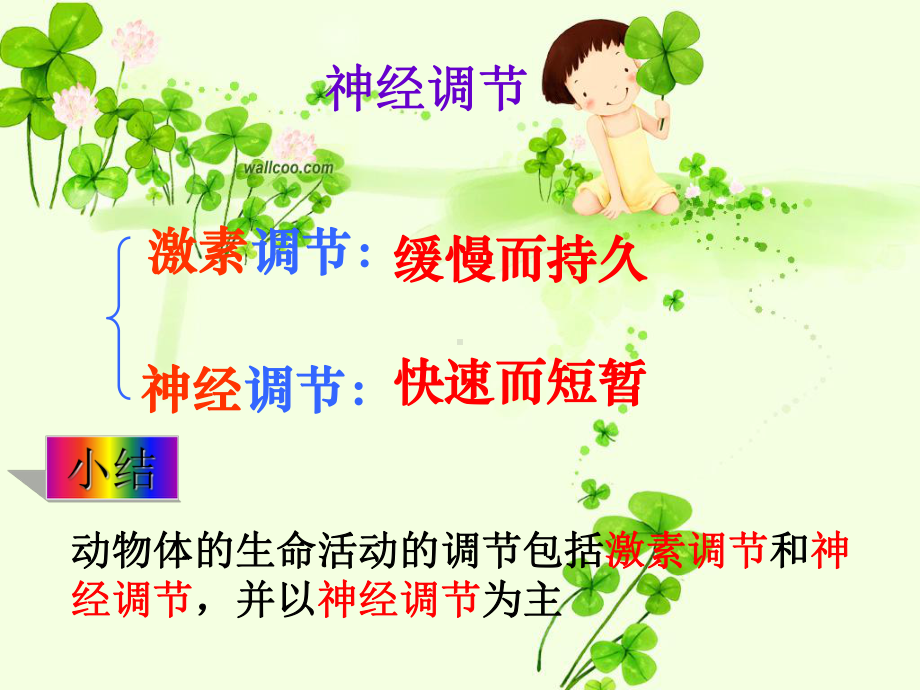 八年级上《神经调节》浙教版课件.ppt_第3页