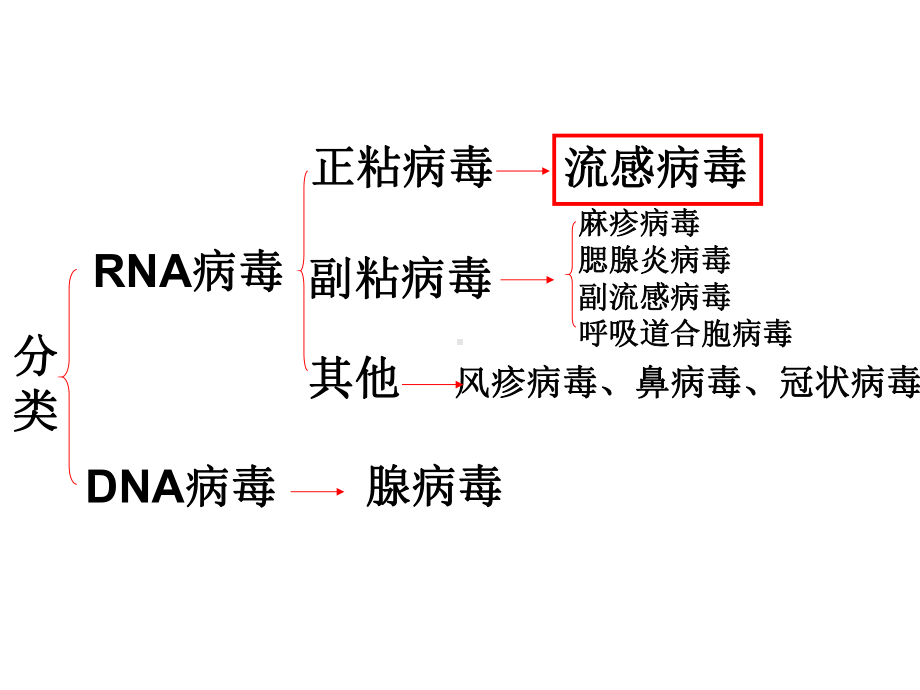 第九章常见致病病毒课件.ppt_第2页