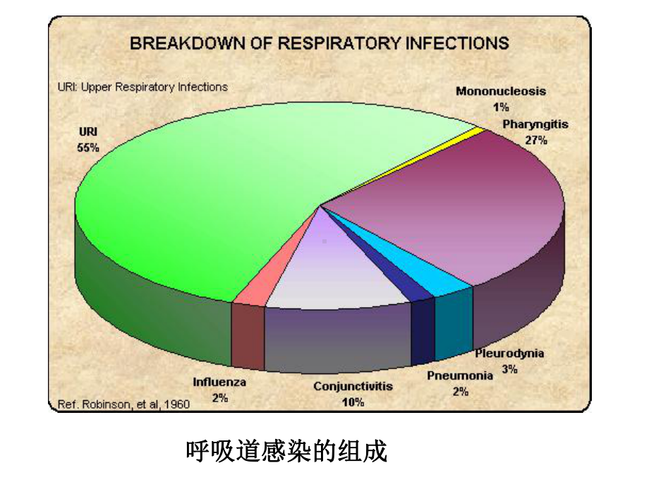 第九章常见致病病毒课件.ppt_第3页