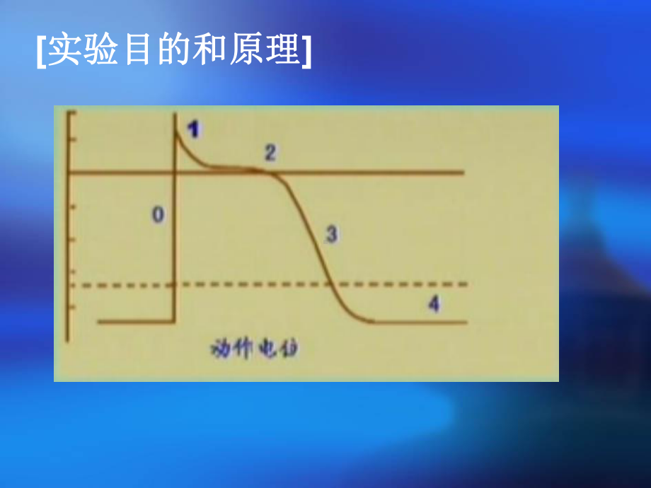 期前收缩与代偿间歇、蛙心灌流chen课件.ppt_第2页