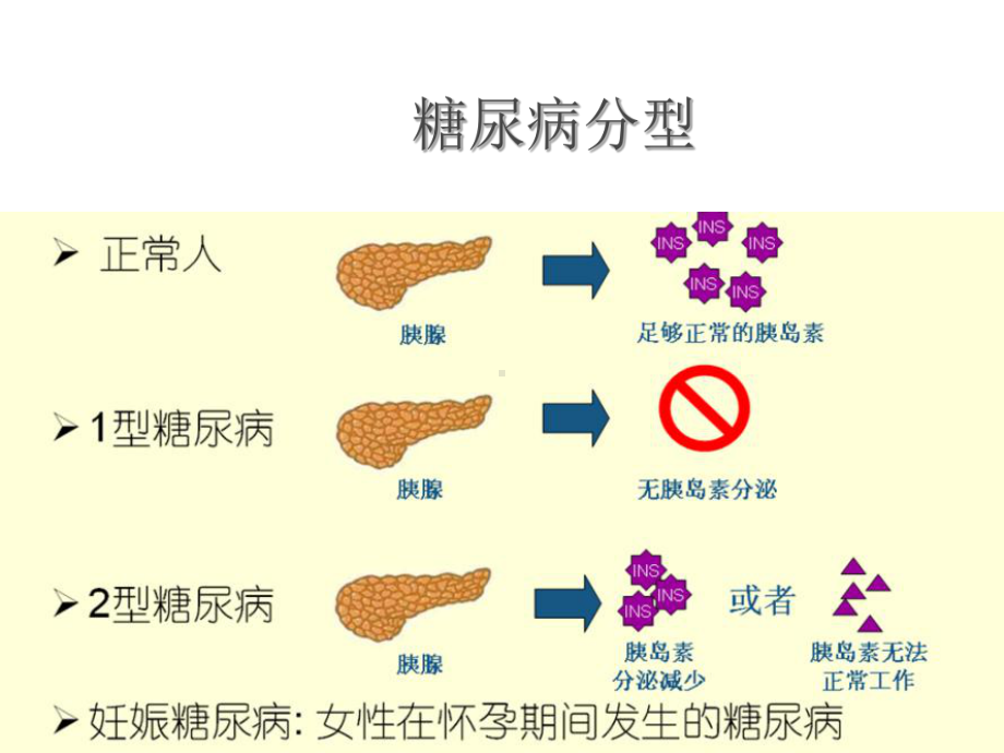 《糖尿病用药》课件.ppt_第3页