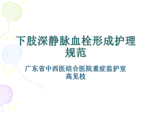 下肢静脉血栓资料课件.ppt