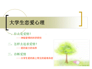 大学生恋爱心理神秘的爱情解析课件.ppt