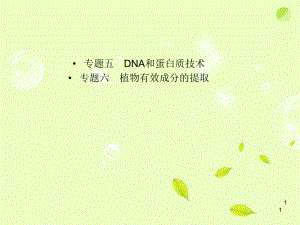 高考生物《DNA和蛋白质技术》复习参考课件 新人教版.ppt