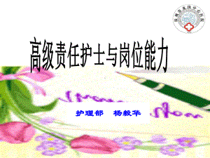 高级责任护士能力培训（课件）.ppt