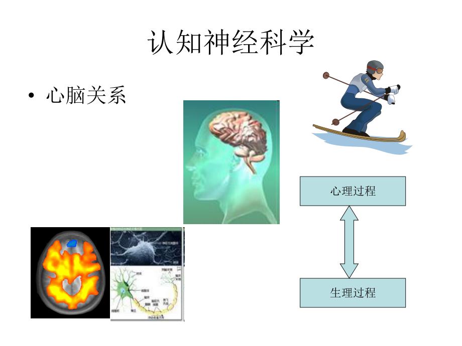 《认知神经科学概论》课件.ppt_第3页