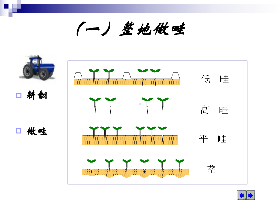 三节蔬菜田间管理技术培训资料课件.ppt_第3页