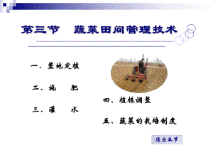 三节蔬菜田间管理技术培训资料课件.ppt