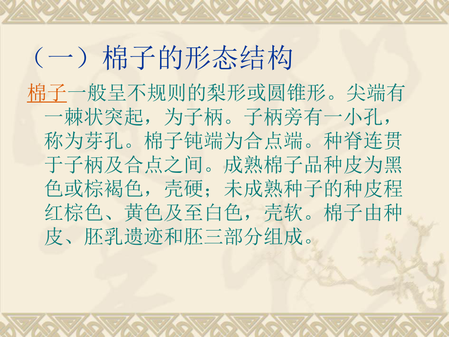 棉花的形态特征和生长发育课件.ppt_第3页