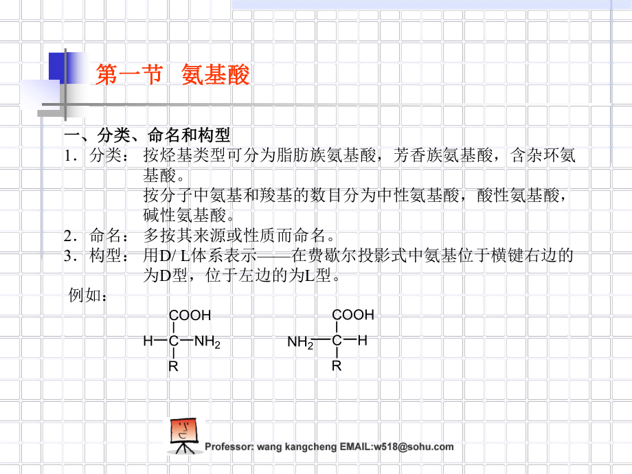 多肽蛋白质和核酸课件.ppt_第2页