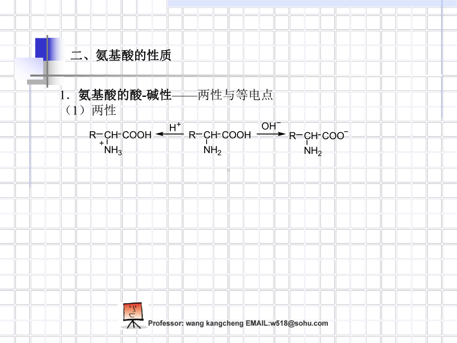 多肽蛋白质和核酸课件.ppt_第3页