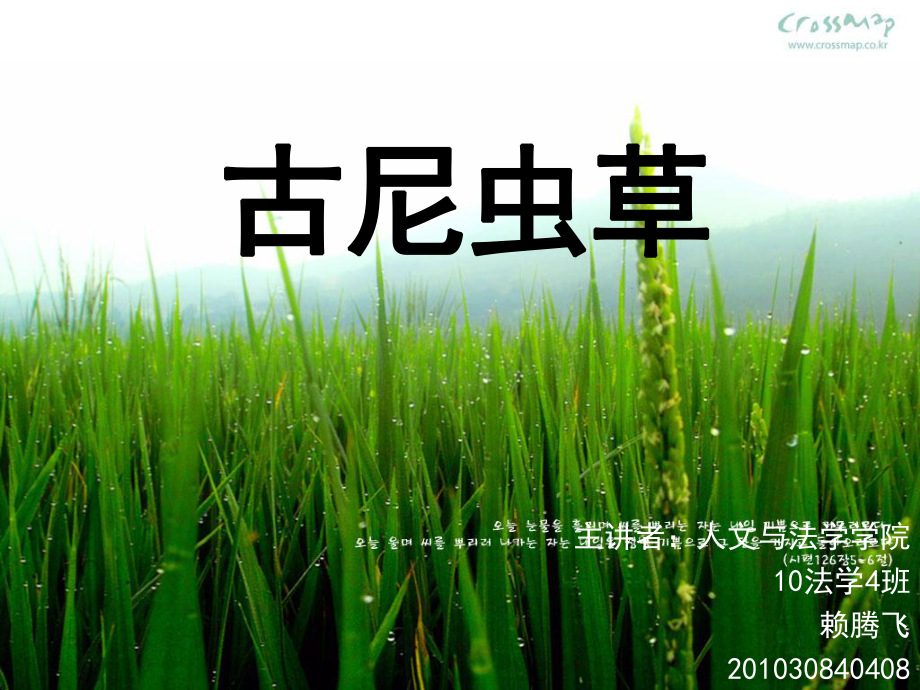 《古尼虫草讲座》课件.ppt_第1页