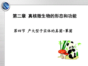 第二章第四节蕈菌课件.ppt