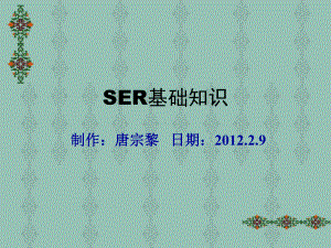 SER基础知识培训教材报告课件.ppt