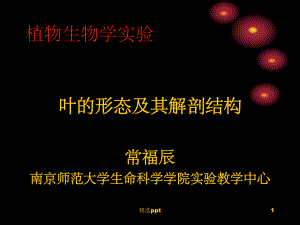 叶的形态及其解剖结构课件.ppt