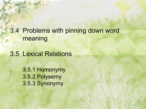 problems-with-pinning-down-word-meaning确定词汇意义-语义学作业教材课件.ppt