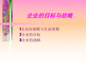 公司目标与战略课件.ppt