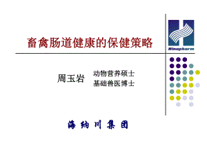 畜禽肠道健康保健策略课件.ppt