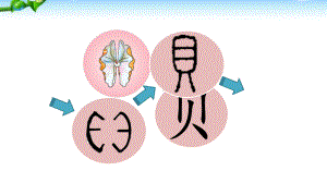 《贝的故事》课件-人教部编版贝的故事课件完美版6.pptx