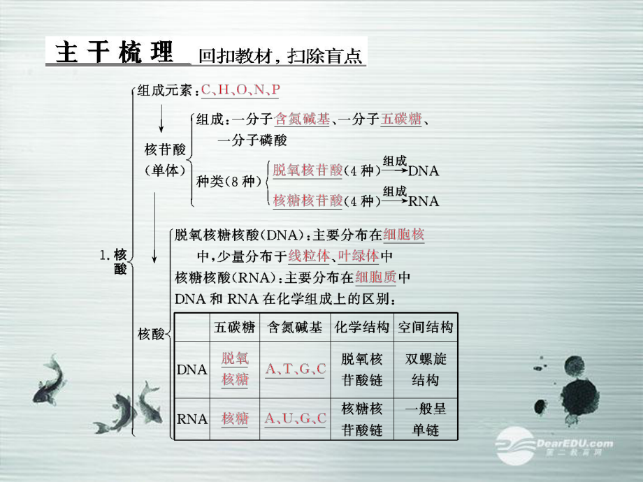高考生物123核酸、糖类与脂质配套课件必修1.ppt_第2页