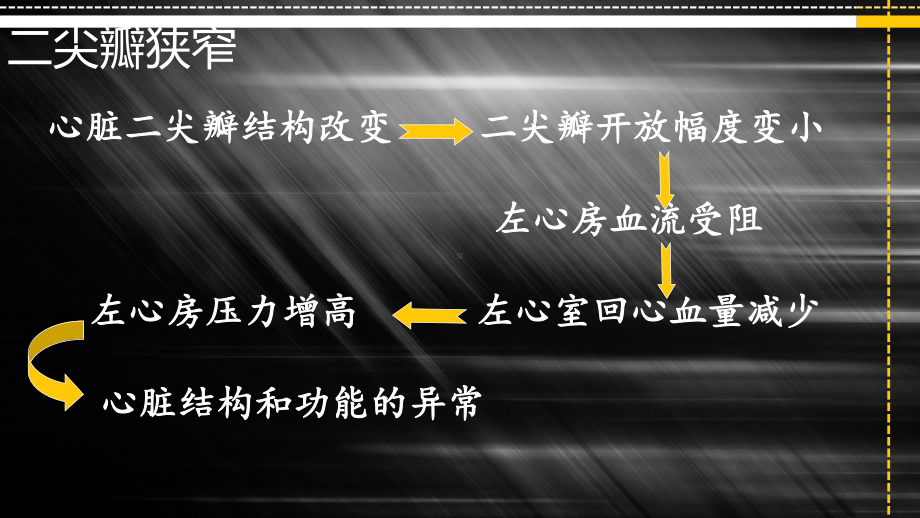 生理血液循环课件.ppt_第3页