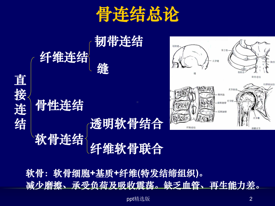 关节解剖图谱+1课件.ppt_第2页