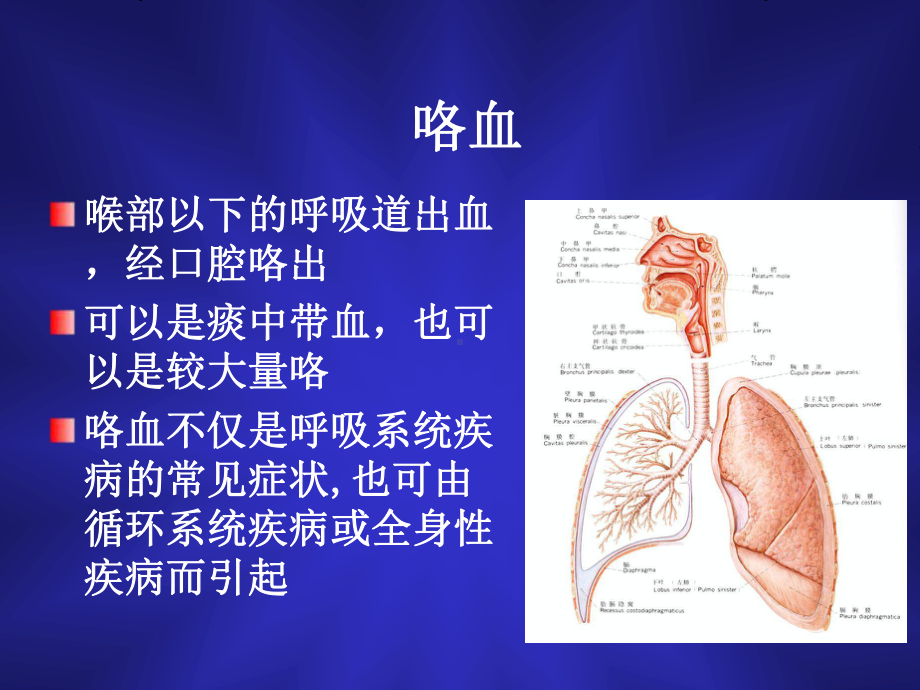 《临床医学咯血》课件.ppt_第2页