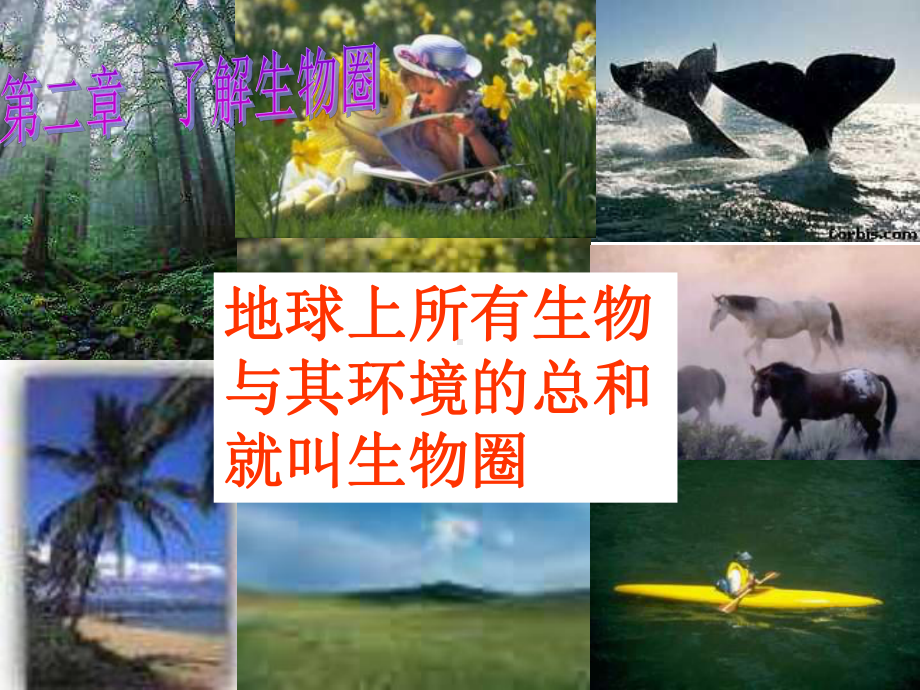 初一生物上册第二章第一节生物与环境的关系课件.ppt_第2页