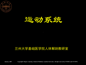 侯一平教授兰州大学基础医学院解剖教研室课件.ppt