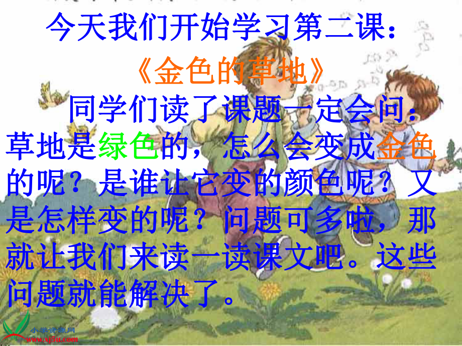 《金色的草地》(好)课件.ppt_第2页