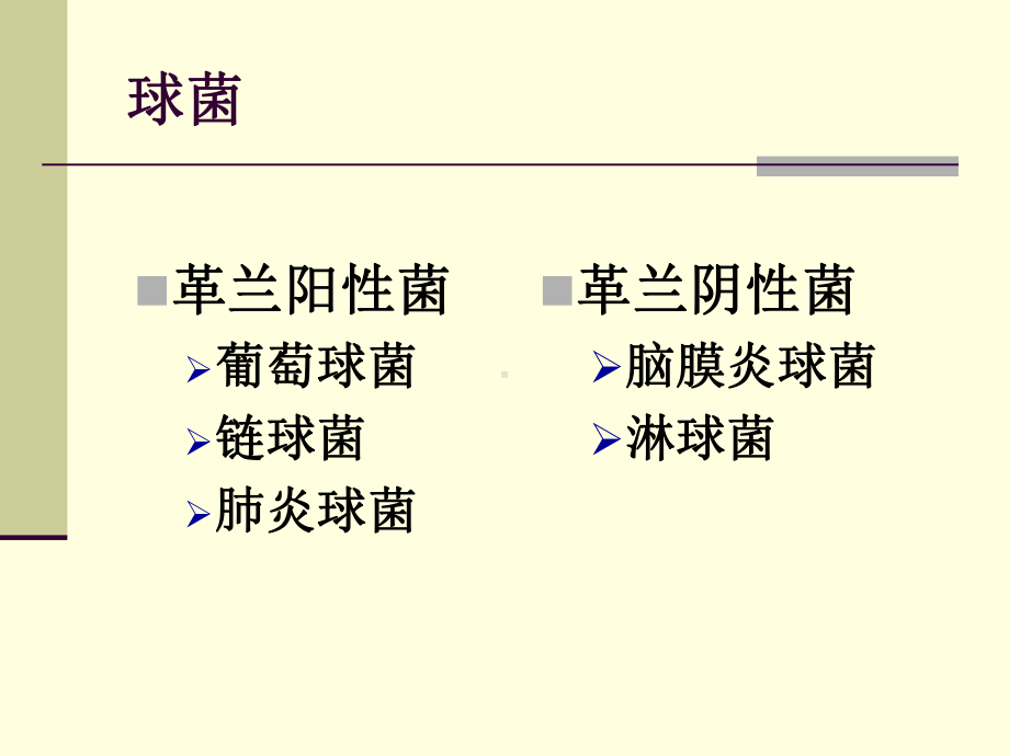 《球菌肠道杆菌》课件.ppt_第3页