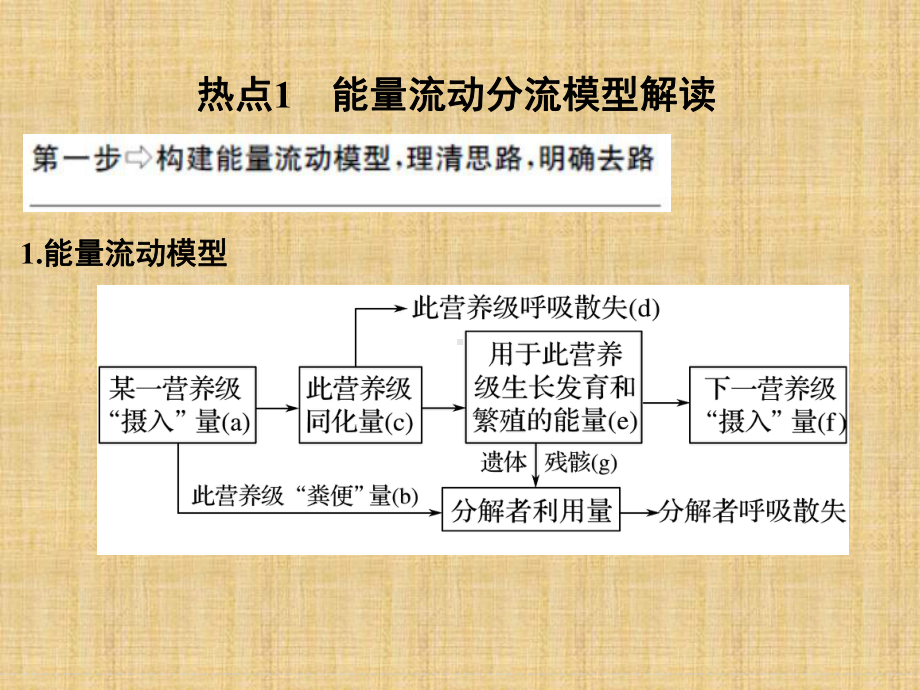 高考生物二轮复习能量流动分流模型解读及相关计算名师精编课件(全国通用).ppt_第2页