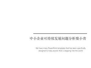 中小企业可持续发展问题分析柴小青课件.ppt