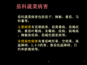 《茄科蔬菜病害》课件.ppt