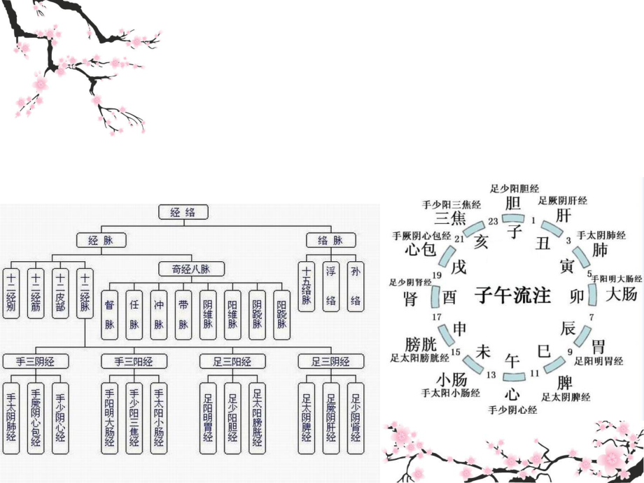 十二经络穴位图鉴课件.ppt_第2页