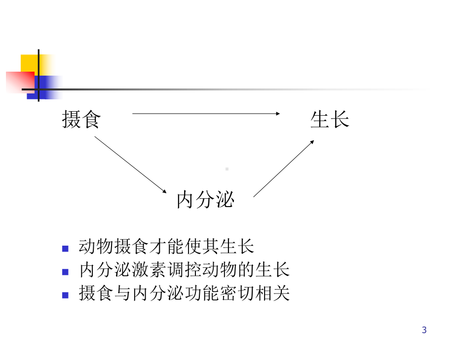 《营养与内分泌激素》课件.ppt_第3页