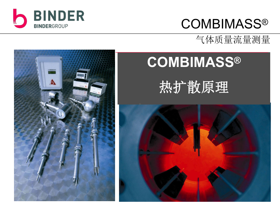 COMBIMASS气体流量计(sales)解析课件.ppt_第2页