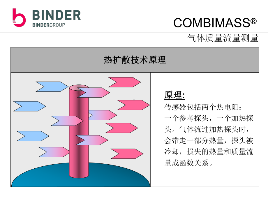 COMBIMASS气体流量计(sales)解析课件.ppt_第3页