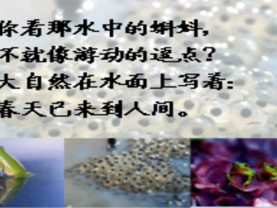 八年级语文上册-16《大自然的语言》教学课件-人教新课标版.ppt_第3页