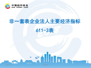 非一套表企业法人主要经济指标6113表课件.ppt