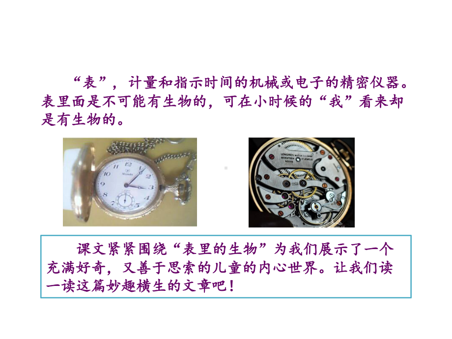 六年级下册语文课件第五单元16表里的生物部编版.pptx_第3页