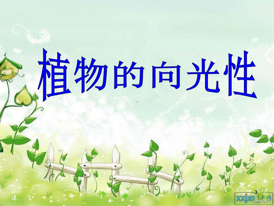 (精选课件)植物的向光性.ppt_第3页