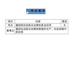 B基因的自由组合定律课件.pptx