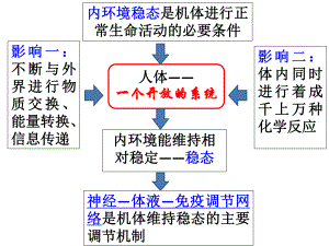 必修3第二章第一节通过神经系统的调节课件2.ppt