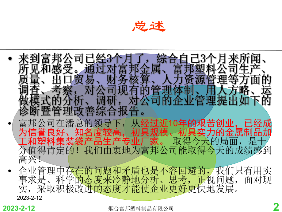 塑料企业管理诊断暨管理改善综合分析报告课件.ppt_第2页